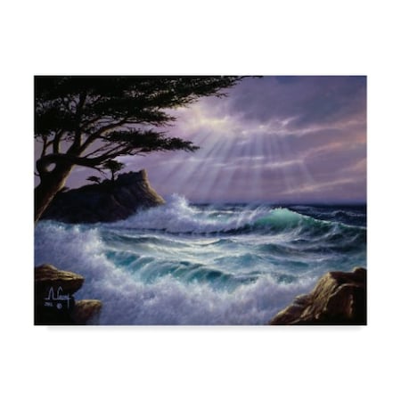 Anthony Casay 'Waves Under Clouds 3' Canvas Art,35x47